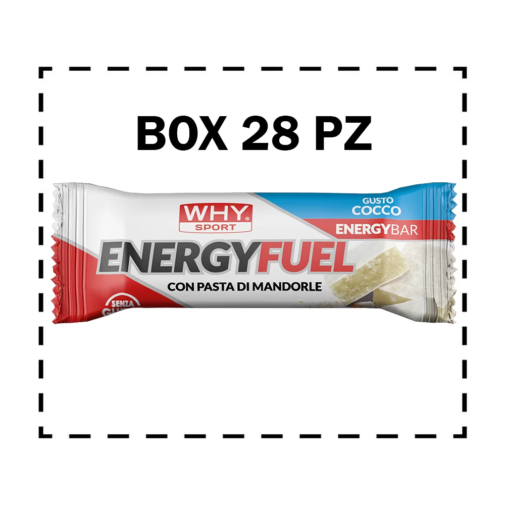 WHY SPORT ENERGY FUEL BARRETTA COCCO 28PZ